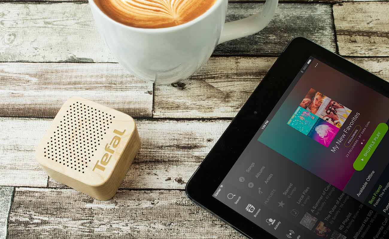 Seed - Custom Wooden Speaker gallery thumbnail